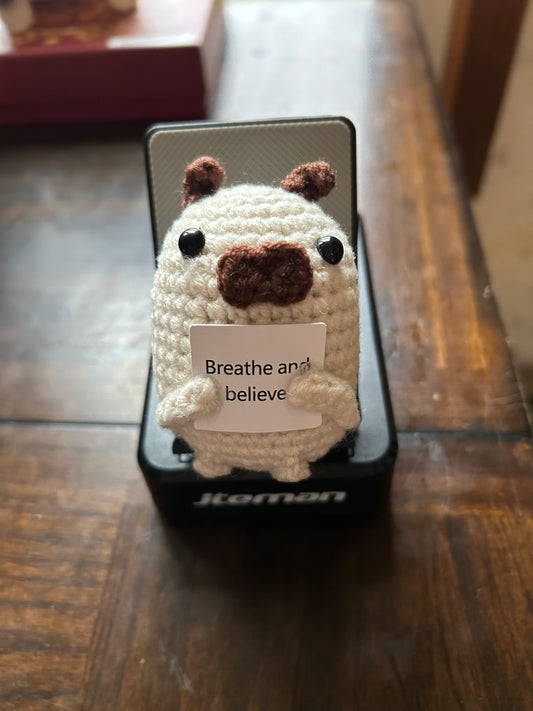 Breathe and Believe- Positive Pug