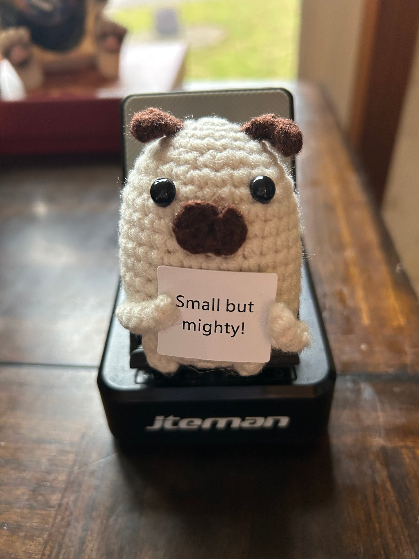 Small but Mighty- Positive Pug